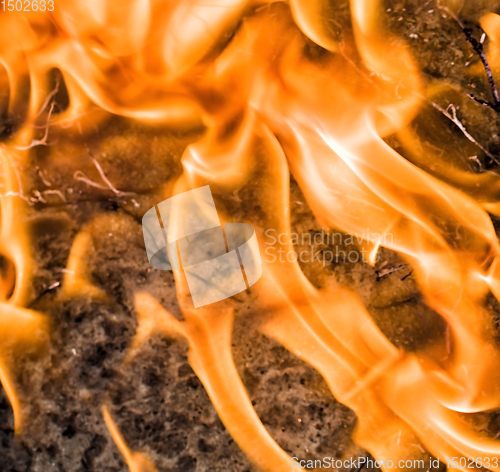 Image of burning felled trees