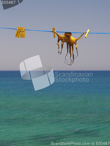 Image of dried cuttlefish