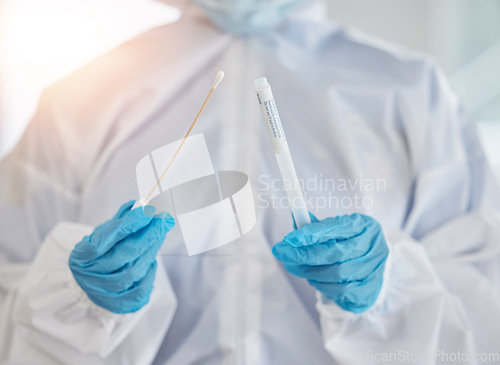 Image of Closeup, bacteria or gloves with test, covid or medical issue with safety, prevention or virus analysis. Zoom, healthcare professional or doctor with illness, lab equipment or sampling with diagnosis