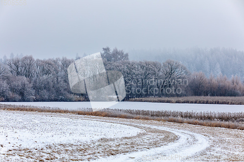 Image of Winter landscape covered with snow