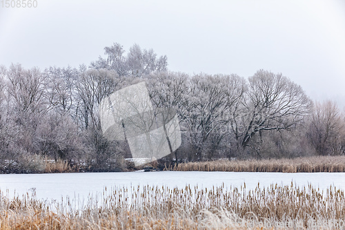 Image of Winter landscape covered with snow