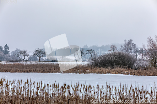 Image of Winter landscape covered with snow