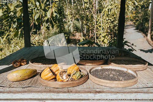 Image of Ripe Indonesia cocoa setup on rustic wooden table