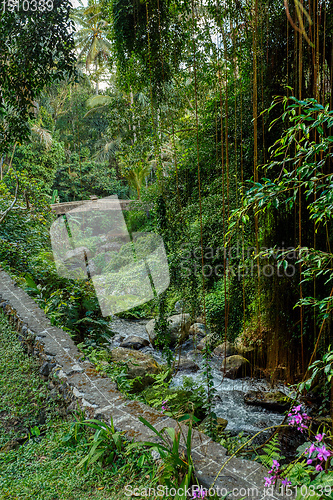 Image of trails around royal tombs at Gunung Kawi Indonesia