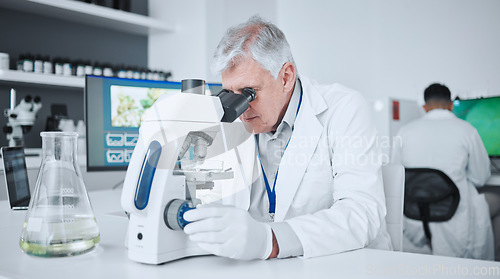 Image of Microscope, pharmacy and research with old man in laboratory for science, medical and vaccine. Chemistry, healthcare and medicine with scientist and study for solution, development and sample results