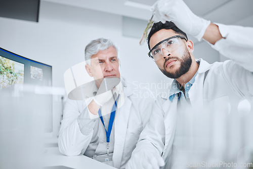 Image of Laboratory, science team and man with test tube checking results of medical study for pharmaceutical research. Healthcare, experiment and senior scientist in lab with intern for vaccine development.