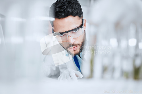 Image of Laboratory, science and man with test tube checking results of medical study for pharmaceutical research. Healthcare, experiment and scientist in lab studying development of vaccine solution or drugs