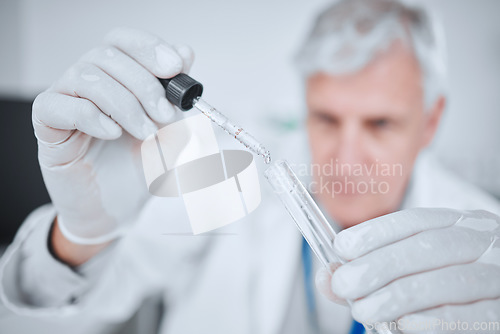 Image of Laboratory, science and man with pipette checking results of medical study for pharmaceutical research. Healthcare, experiment and scientist in lab studying vaccine development solution in test tube.