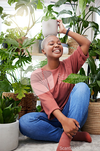 Image of Portrait of a black woman, garden and happy with plant on head and care for plants, leaves and sunshine in greenhouse. Gardening, growth and person with houseplant and happiness