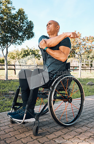 Image of Stretching, health and wheelchair user with man in park for training, workout and fitness. Warm up, wellness and exercise with person with a disability in nature for sports, challenge and performance