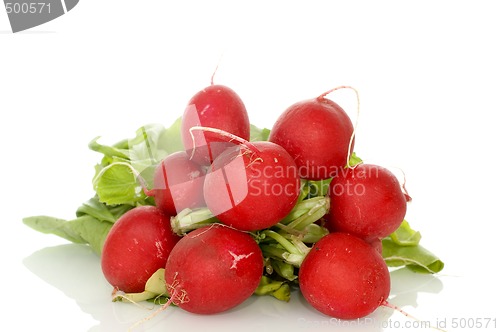 Image of Radish