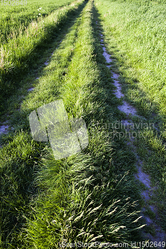 Image of road tracks