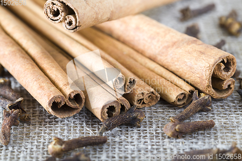 Image of cinnamon with clove flowers