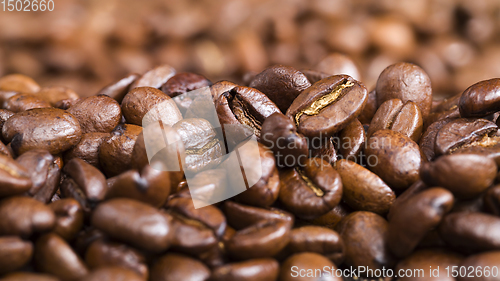 Image of beautiful roasted coffee beans