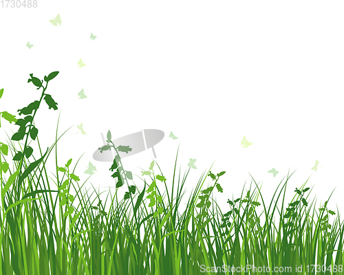 Image of Green Grass Meadow