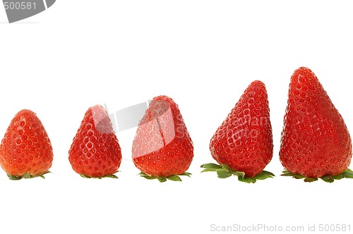 Image of Fresh strawberry