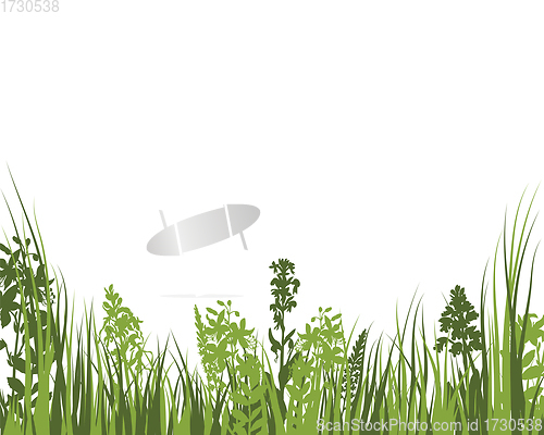 Image of Green Grass Meadow