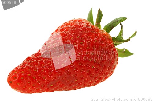 Image of Big strawberry