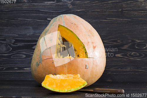Image of large pumpkin