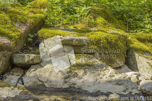 Image of mossy overgrown rock formation