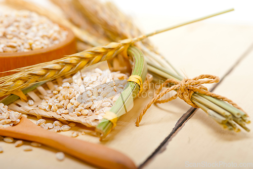 Image of organic barley grains