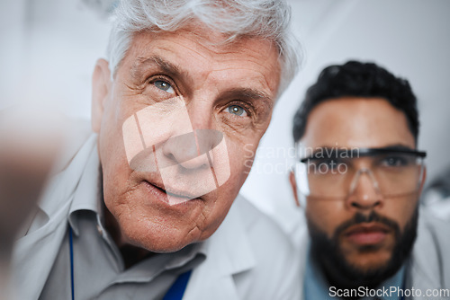 Image of Medical inspection, team and men in a lab for research check, medicine analysis or science. Focus, faces and scientists doing analysis of healthcare innovation test or biotechnology job together