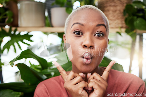 Image of Black woman, silly face and home with comedy feeling happy with plants. African female person, portrait and crazy with hand sign and funny pout with comic confidence and house greenery with joke