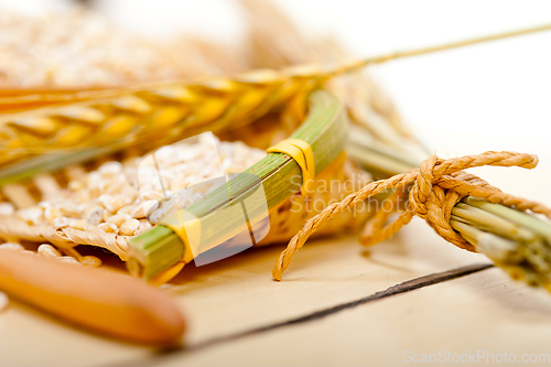 Image of organic wheat grains