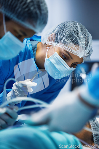 Image of Medical tools, theatre and doctors or woman for hospital support, teamwork and emergency healthcare with focus. Surgery, nurses and surgeon in face mask, patient check and tweezer in operating room