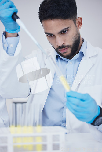 Image of Man, medicine or scientists with test tubes in research for experiment, medical assessment or innovation. Breakthrough, studying biotechnology or researcher in laboratory for science development