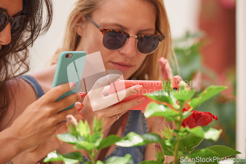 Image of Phone, social media and women on holiday with flower photography and online on vacation. Young female person, mobile and freedom with nature photo in a city outdoor with hibiscus and friends