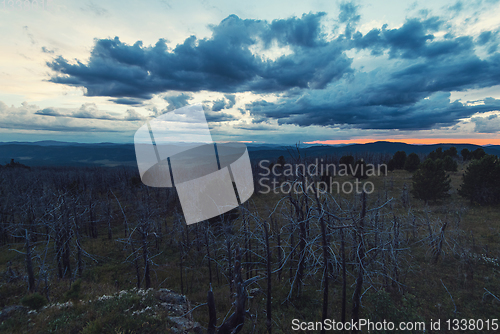 Image of Landscape with dead forest