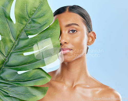 Image of Skincare, plant and portrait of a woman on a blue background for skincare, wellness and beauty glow. Ecology, dermatology and an Indian girl or model with a leaf isolated on a studio backdrop