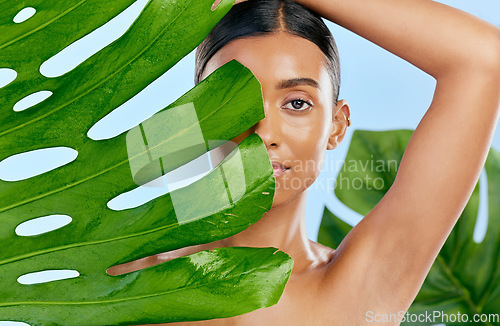 Image of Cosmetics, leaf and portrait of a woman on a blue background for skincare, wellness and beauty glow. Ecology, dermatology and an Indian girl or model with a plant isolated on a studio backdrop