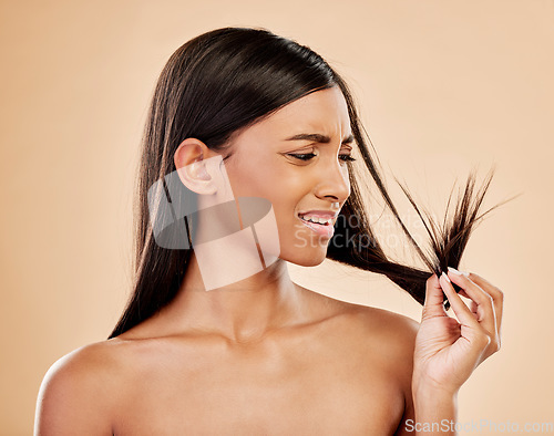 Image of Woman, worry and split end in studio, background and beauty concern of hair loss, problem and damage. Stress, face and indian female model check tips for haircare treatment to repair dry texture