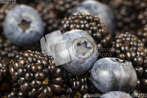 Image of blueberry and blackberries