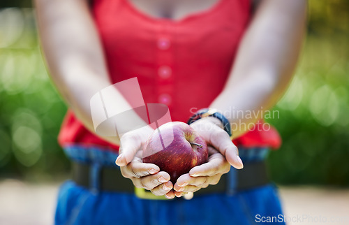 Image of Woman, hands and apple for food diet, natural nutrition or health and wellness in nature outdoors. Closeup of female person holding organic fruit in palm for sustainability, vitamin or fiber meal