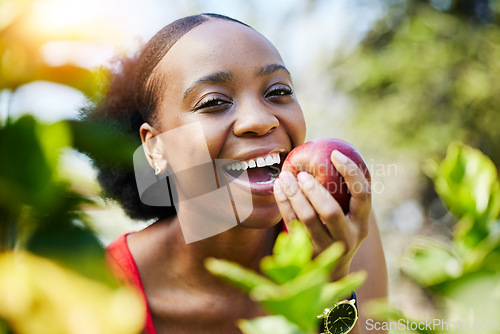 Image of Apple, health and portrait of a black woman biting a fruit on a farm with fresh produce in summer and smile for wellness. Happy, nutrition and young female person on an organic diet for self care