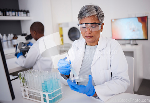 Image of Science, research and a woman with a test in a lab for medicine, healthcare analytics and check. Medical, futuristic and a mature scientist studying a liquid or blood for professional results