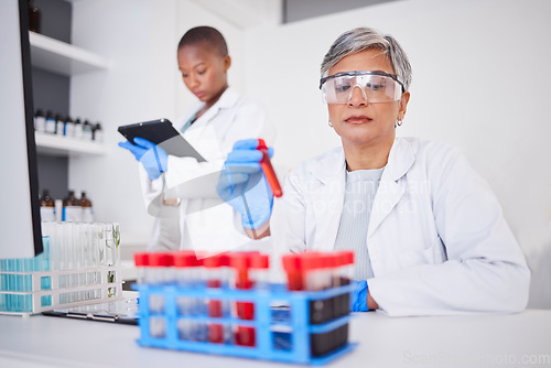 Image of Science, blood and DNA with a doctor woman holding a laboratory sample for research or innovation. Healthcare, medical and study with a senior female scientist working in a lab for cure development