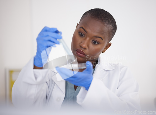 Image of Hands, petri dish and black woman scientist with DNA sample, science experiment and medical research, chemical and pipette. Biotech, scientific study and female person, chemistry and particles in lab