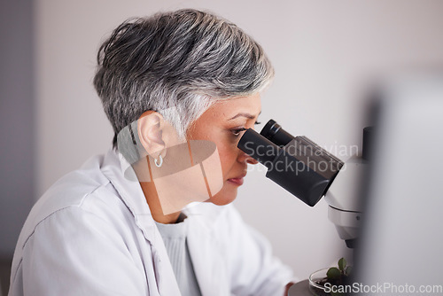 Image of Senior scientist, woman and microscope, analysis of data and medical research, profile and experiment. DNA sample, assessment and investigation with female doctor in lab, science study and biotech