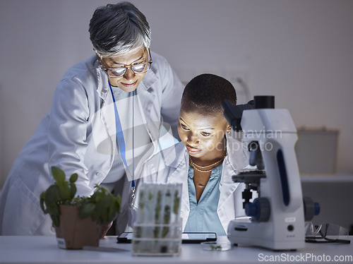 Image of Scientist, team with women in lab and plant, ecology and check data results on tablet, eco and medical research. Female people, scientific collaboration and study, analysis and environmental science