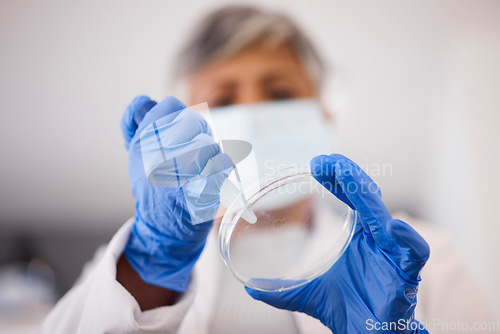 Image of Hands, petri dish and scientist with DNA sample, science experiment and medical research, chemical and pipette. Biotech, closeup and scientific data study, person and chemistry with particles in lab