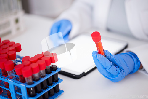 Image of Blood, sample in tube and scientist hand, DNA and biology, medical research and science with person in lab. Health, drug test and analysis with doctor, scientific experiment and pharmaceutical study