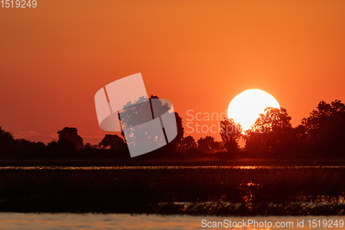 Image of sunset on Chobe river, Botswana Africa