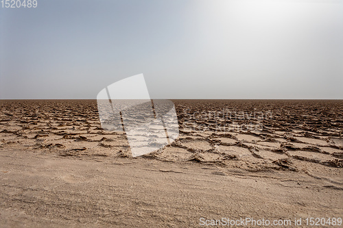 Image of Karum lake, Danakil, Afar Ethiopia.