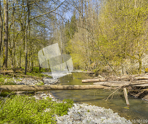 Image of waterside scenery at spring time