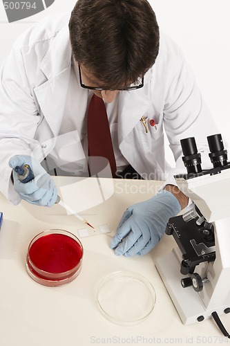 Image of Scientist or researcher preparing a slide