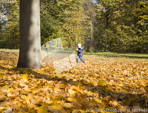 Image of boy walks in the autumn Park